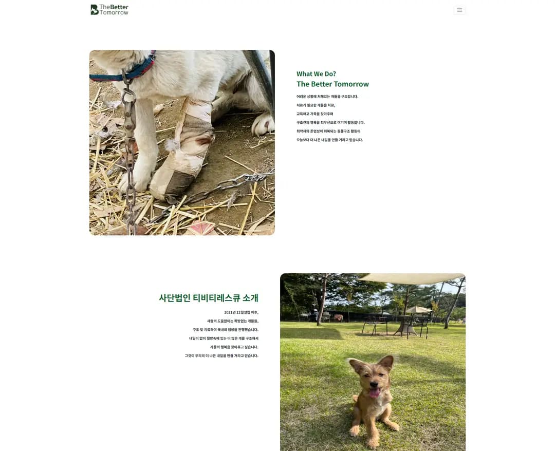 티비티레스큐 — 반려동물 브랜드/기업 웹사이트 디자인 레퍼런스