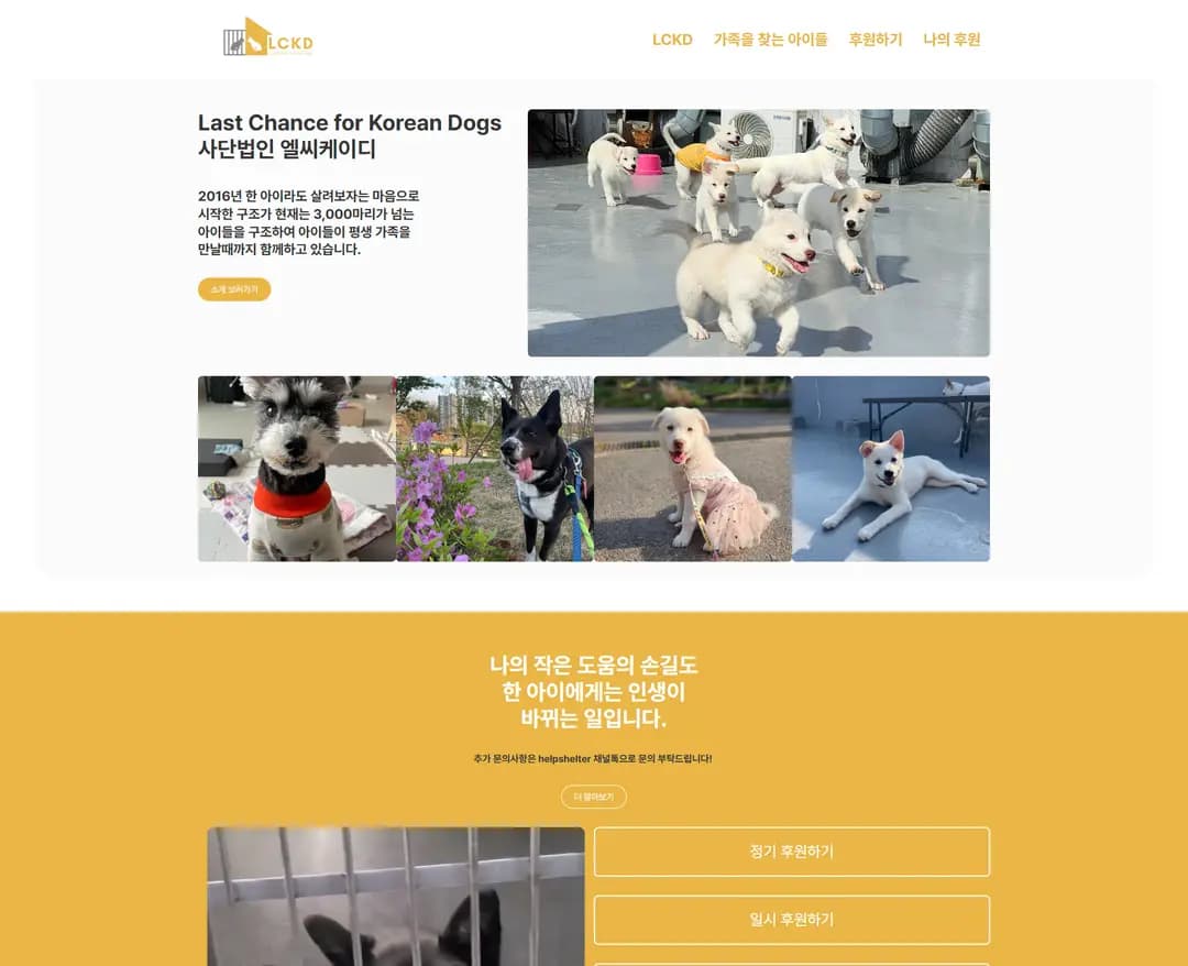 엘씨케이디 — 반려동물 브랜드/기업 웹사이트 디자인 레퍼런스