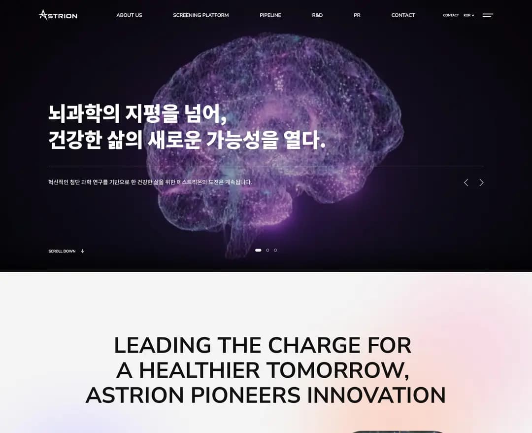 에스트리온 — 병원/의료 소개 웹사이트 디자인 레퍼런스