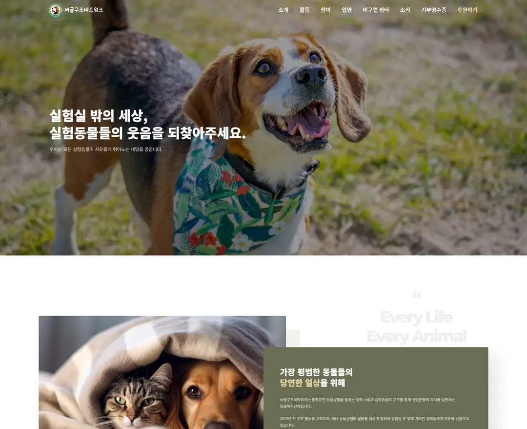 비글구조네트워크 — 반려동물 브랜드/기업 웹사이트 디자인 레퍼런스