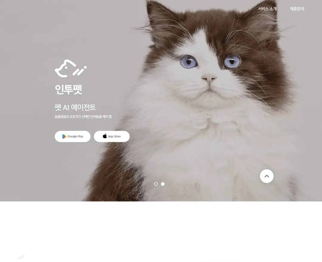 인투펫 — 반려동물 플랫폼 웹사이트 디자인 레퍼런스
