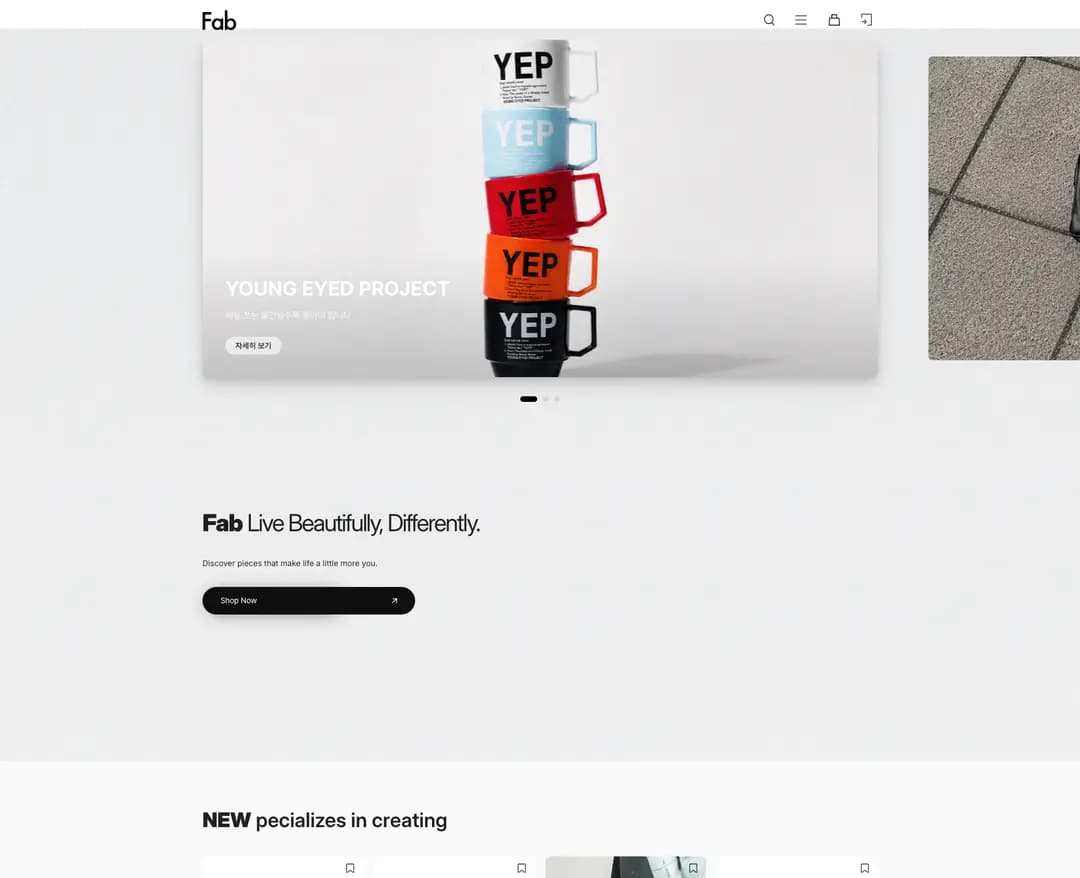 FAB STORE — 라이프스타일 쇼핑몰 웹사이트 디자인 레퍼런스