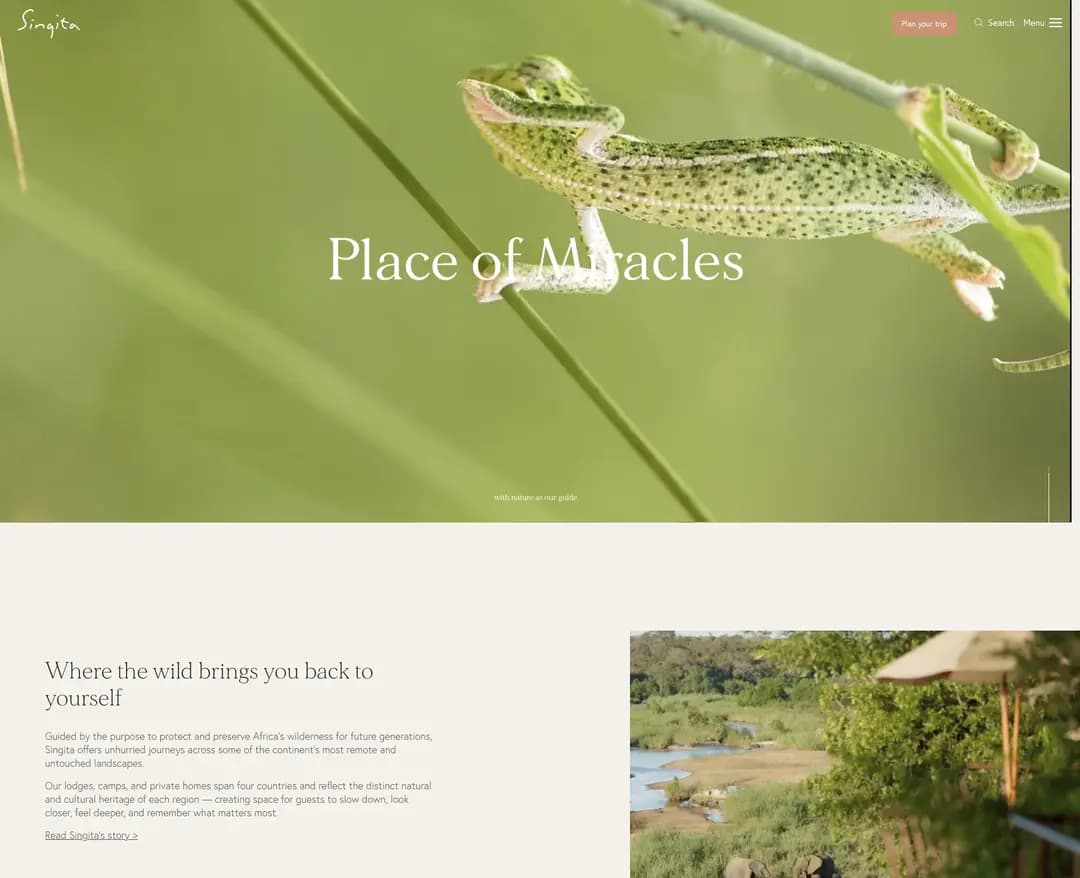 Singita — 여행/호텔 소개 웹사이트 디자인 레퍼런스