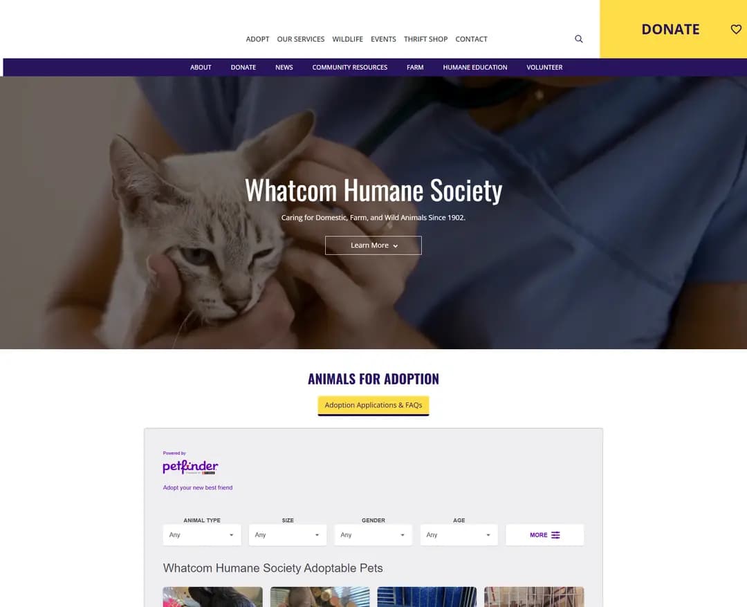 Whatcom Humane Society — 반려동물 소개 웹사이트 디자인 레퍼런스