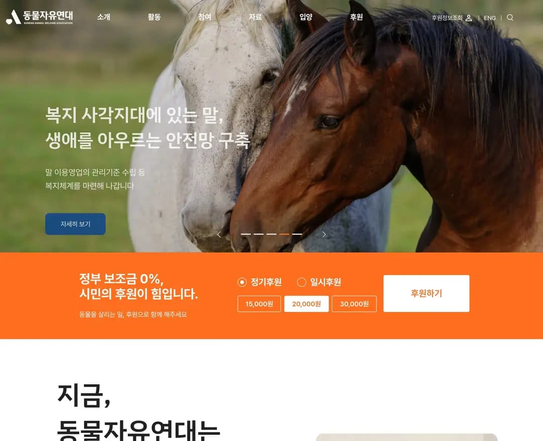 동물자유연대 — 반려동물 소개 웹사이트 디자인 레퍼런스