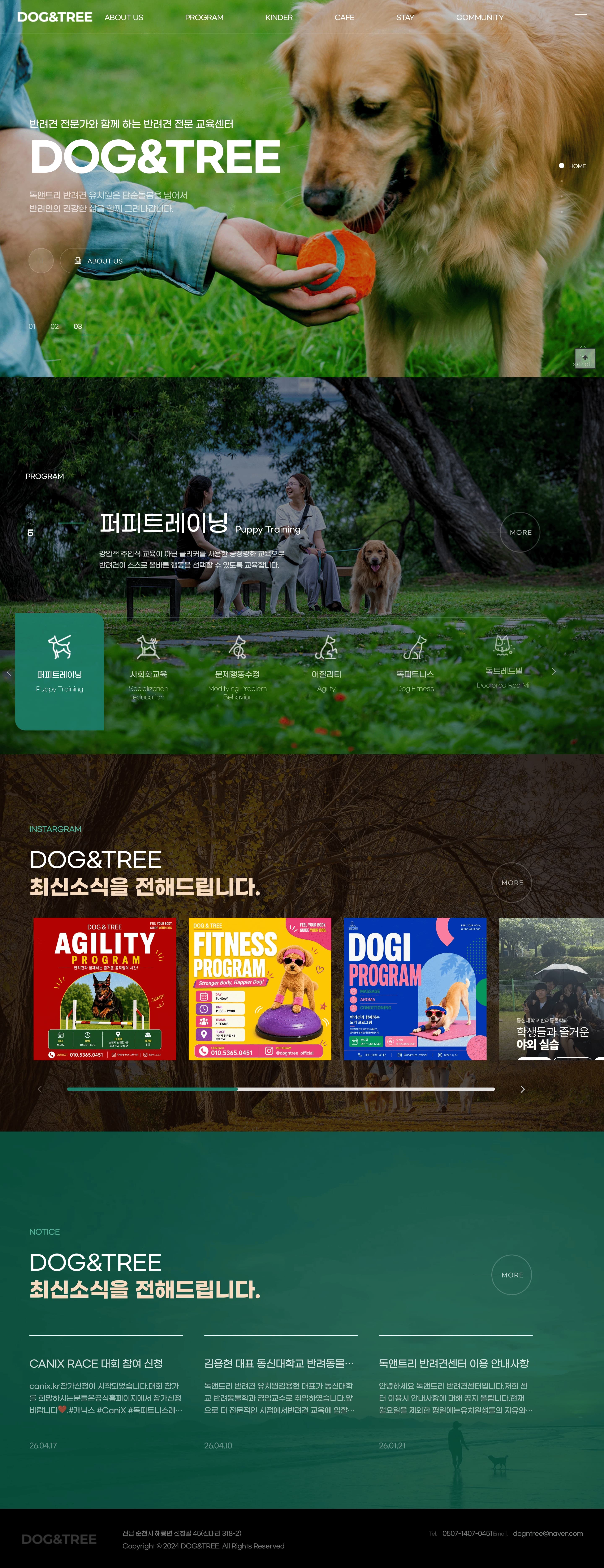 dog&tree — 반려동물 소개 웹사이트 디자인 레퍼런스 스크린샷 1