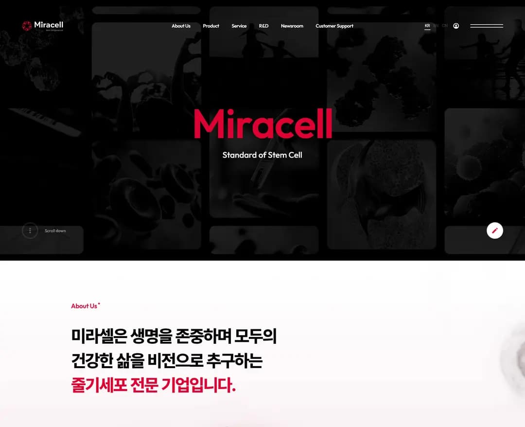 미라셀 — 병원/의료 소개 웹사이트 디자인 레퍼런스