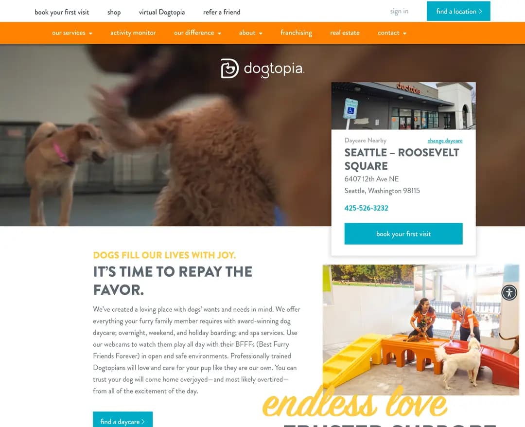 Dogtopia — 반려동물 소개 웹사이트 디자인 레퍼런스