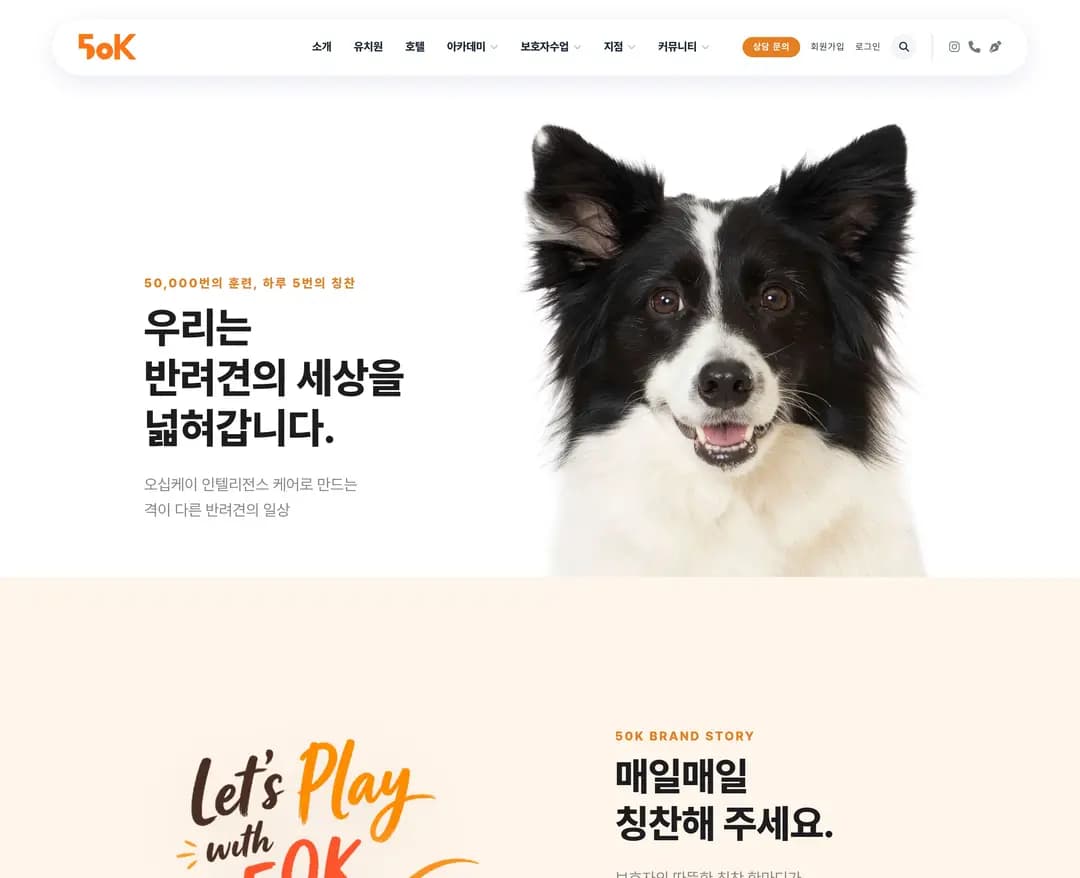 오십케이 — 반려동물 소개 웹사이트 디자인 레퍼런스