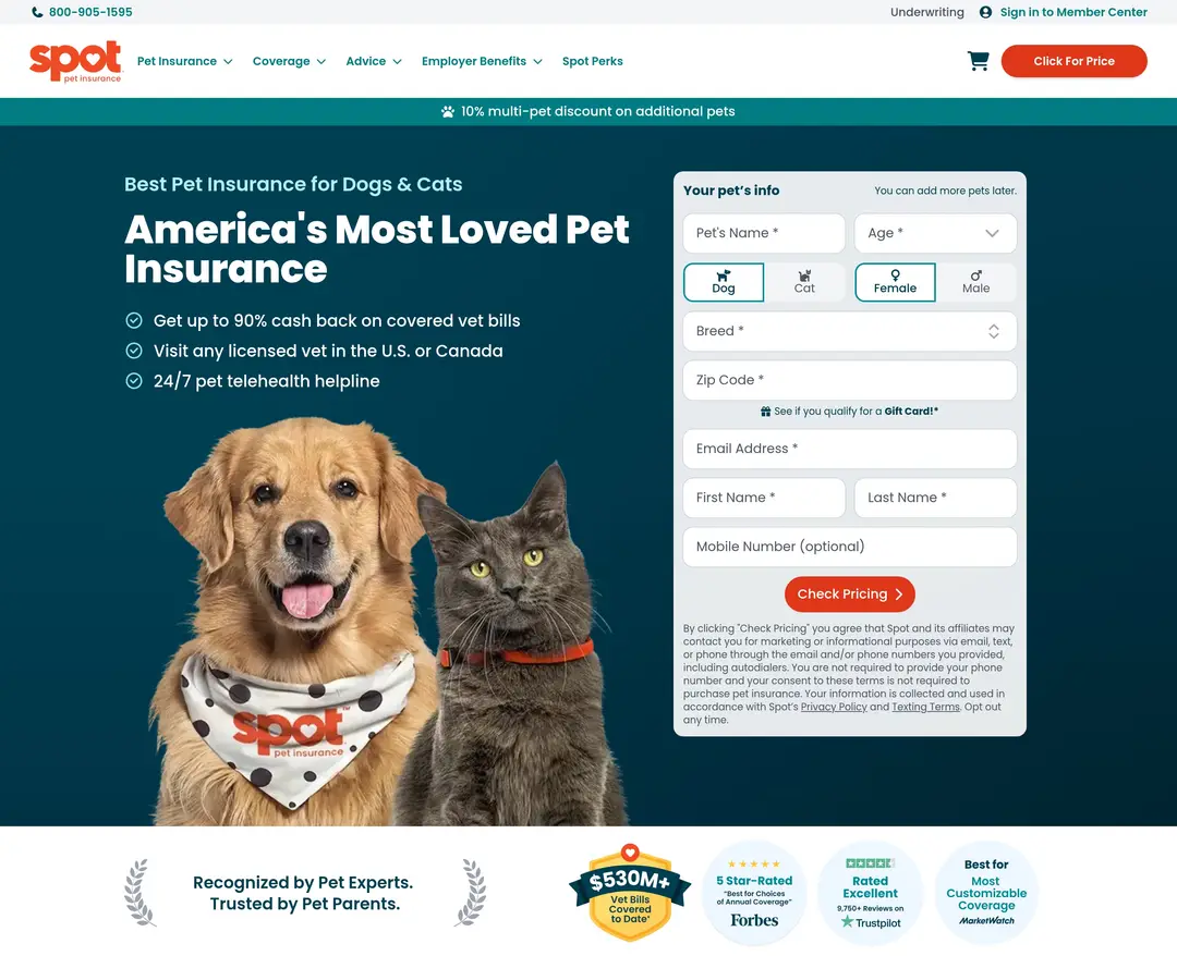 Spot Pet Insurance — 반려동물 소개 웹사이트 디자인 레퍼런스