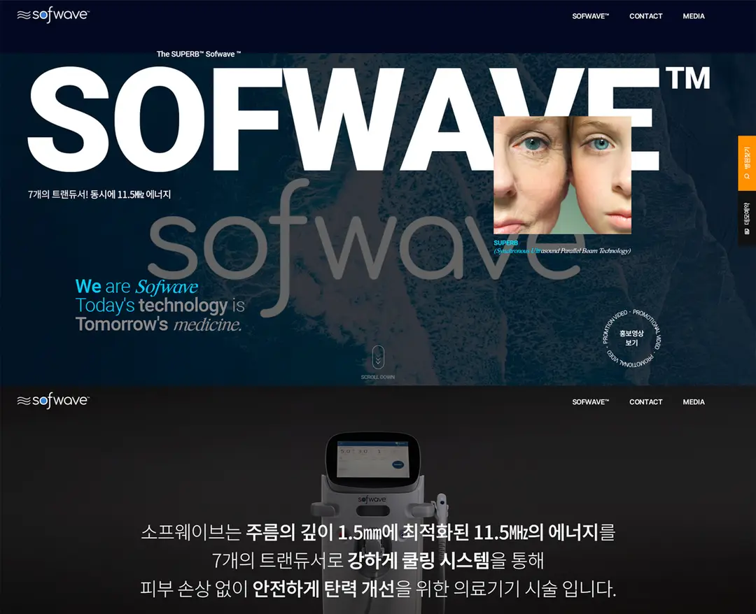 소프웨이브 — 기타 소개 웹사이트 디자인 레퍼런스