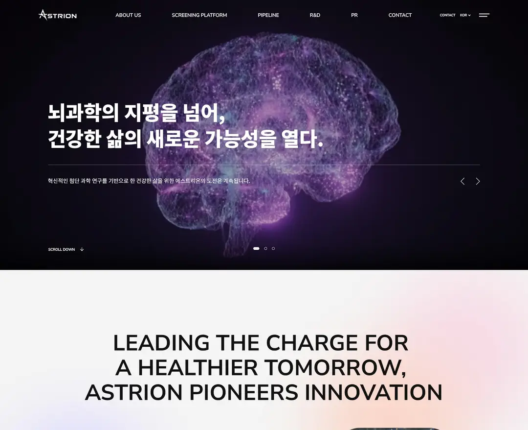 에스트리온 — 기타 소개 웹사이트 디자인 레퍼런스