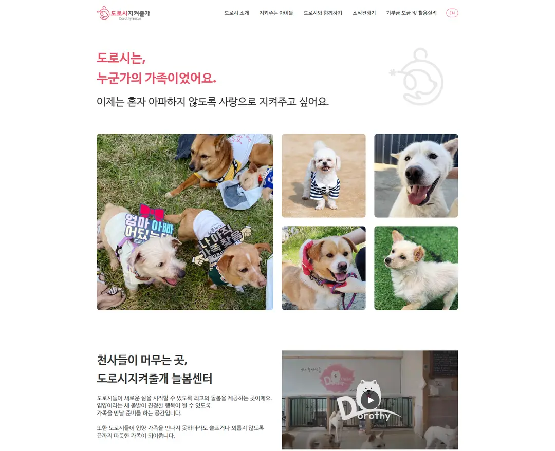 도로시지켜줄게 — 반려동물 소개 웹사이트 디자인 레퍼런스