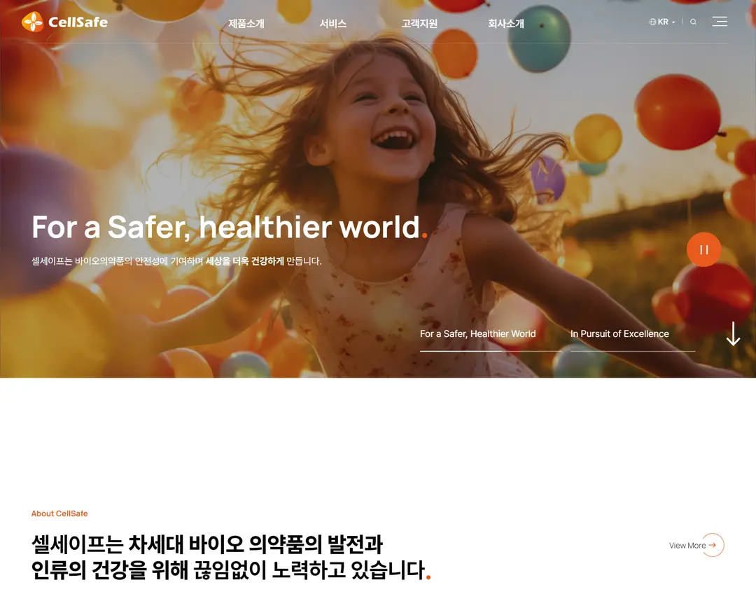 셀세이프 — 기타 소개 웹사이트 디자인 레퍼런스