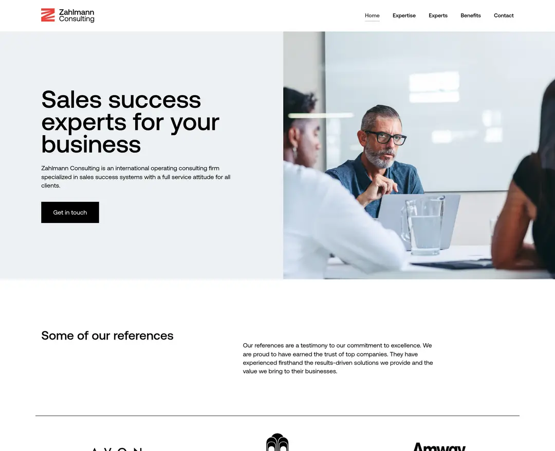 Zahlmann Consulting — 기타 소개 웹사이트 디자인 레퍼런스