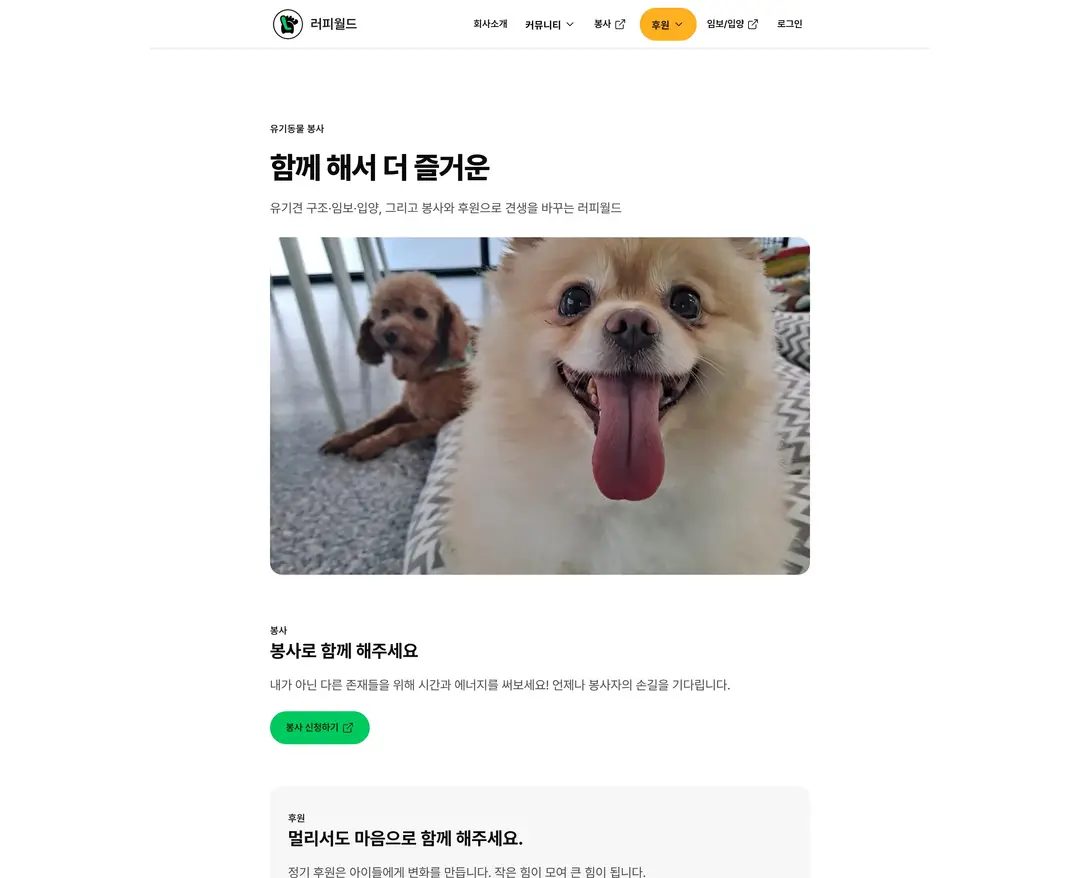 러피월드 — 반려동물 소개 웹사이트 디자인 레퍼런스
