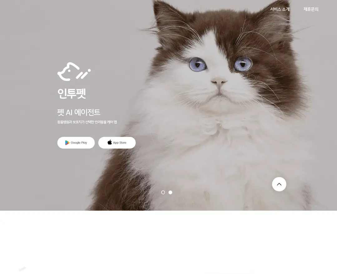 인투펫 — 반려동물 플랫폼 웹사이트 디자인 레퍼런스