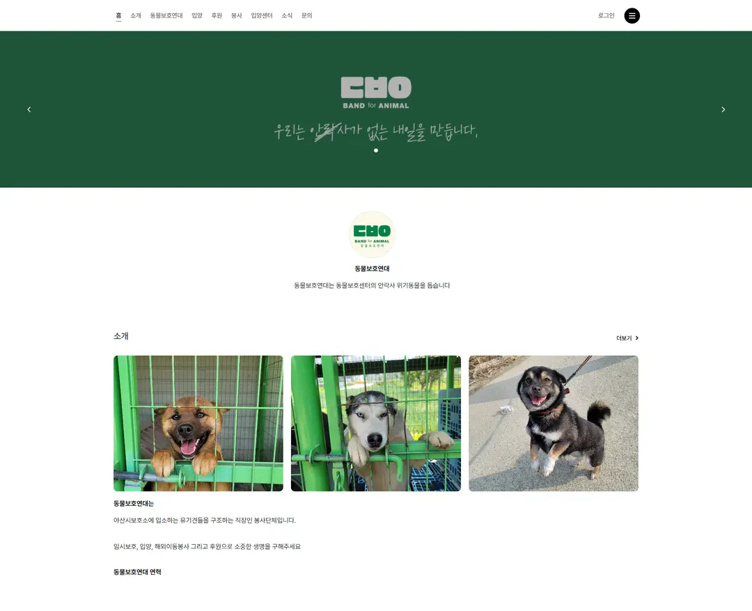동물보호연대 — 반려동물 소개 웹사이트 디자인 레퍼런스