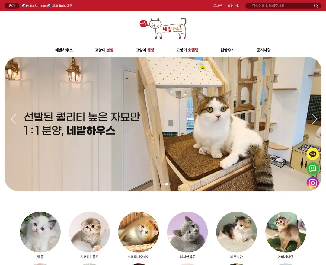 네발하우스 — 반려동물 소개 웹사이트 디자인 레퍼런스
