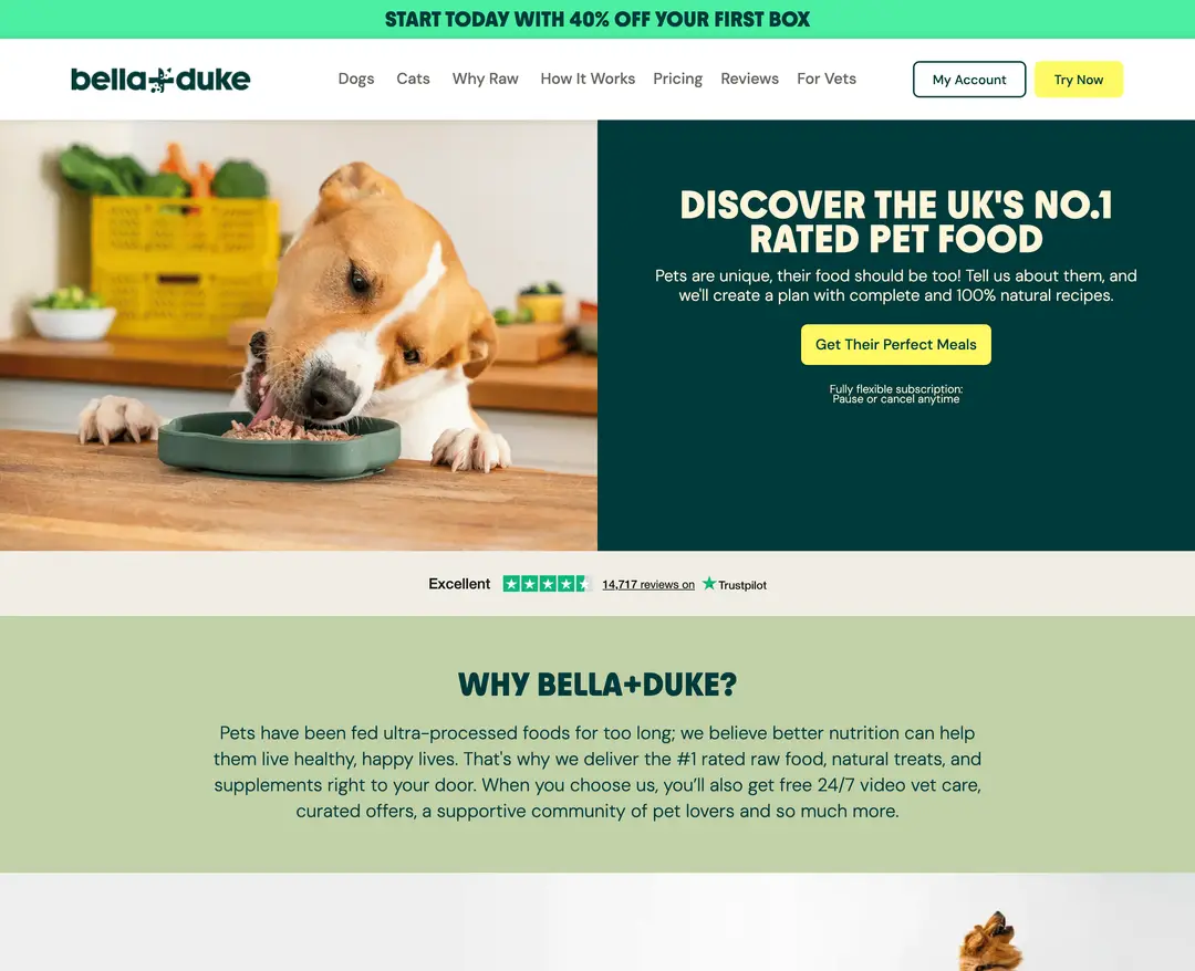 Bella+Duke — 반려동물 쇼핑몰 웹사이트 디자인 레퍼런스