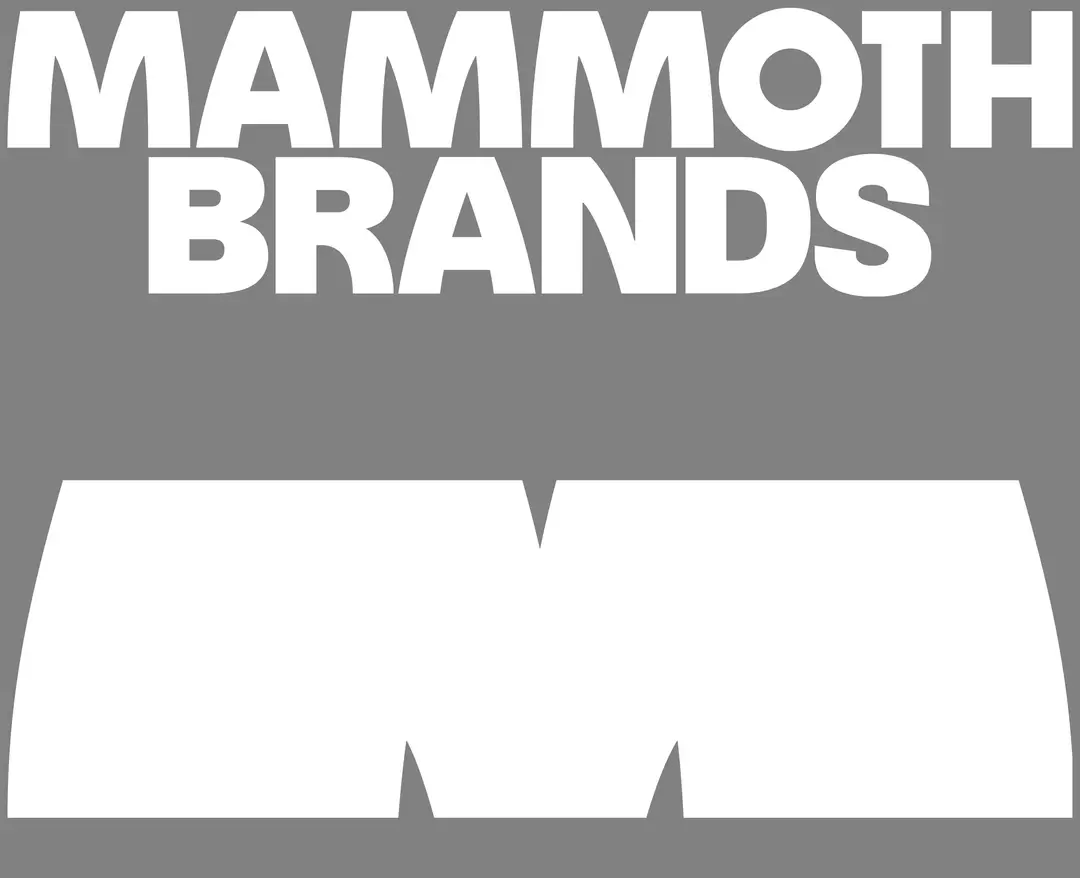 Mammoth Brands — 기타 소개 웹사이트 디자인 레퍼런스