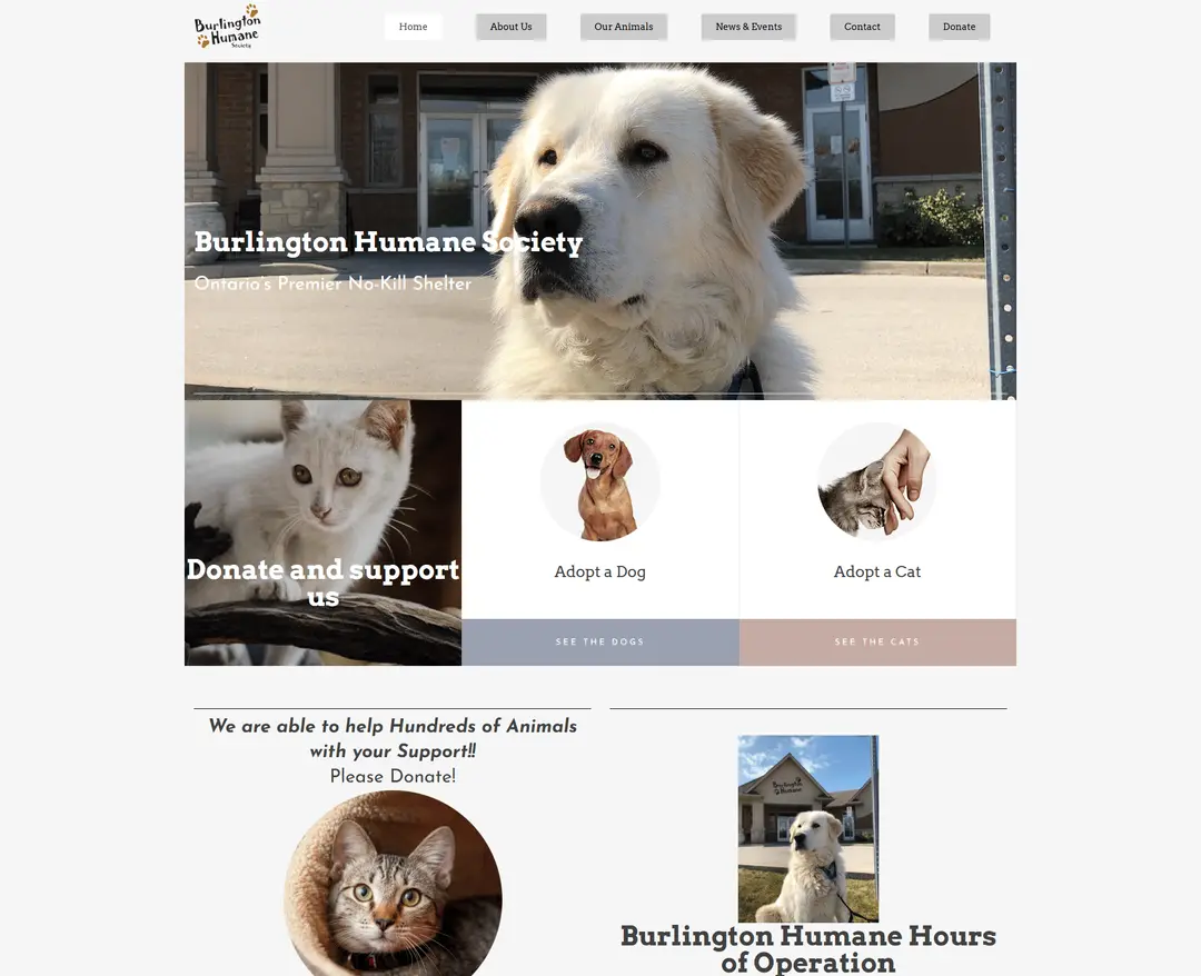Burlington Humane Society — 반려동물 소개 웹사이트 디자인 레퍼런스