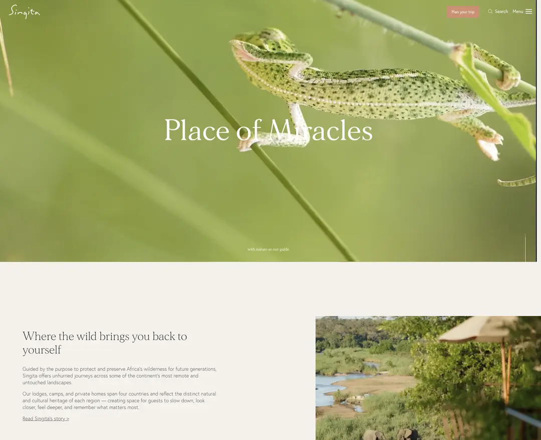 Singita — 여행/호텔 소개 웹사이트 디자인 레퍼런스