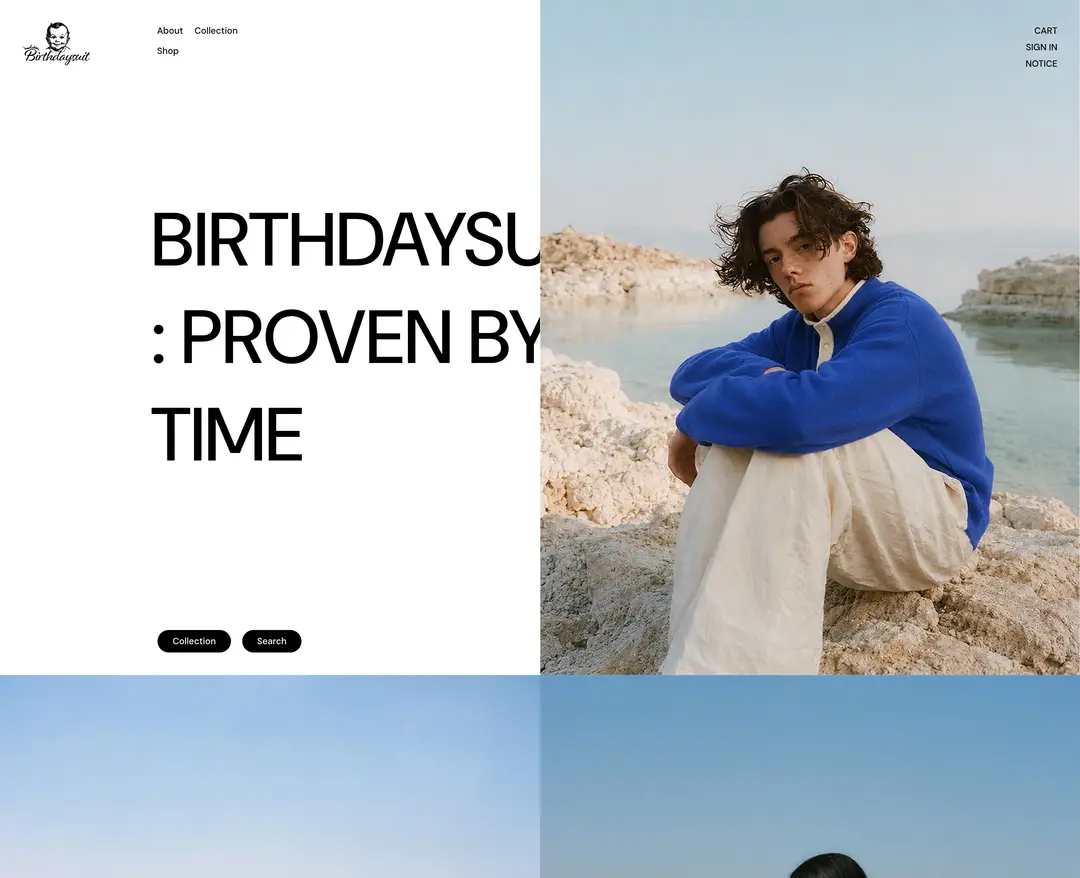 BIRTHDAYSUIT — 패션 쇼핑몰 웹사이트 디자인 레퍼런스