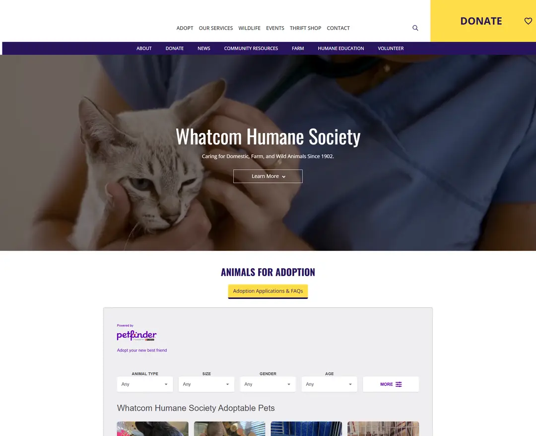 Whatcom Humane Society — 반려동물 소개 웹사이트 디자인 레퍼런스