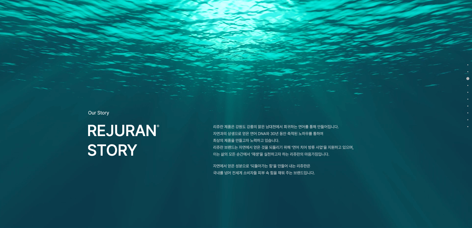 리쥬란 — 화장품 소개 웹사이트 디자인 레퍼런스 스크린샷 3