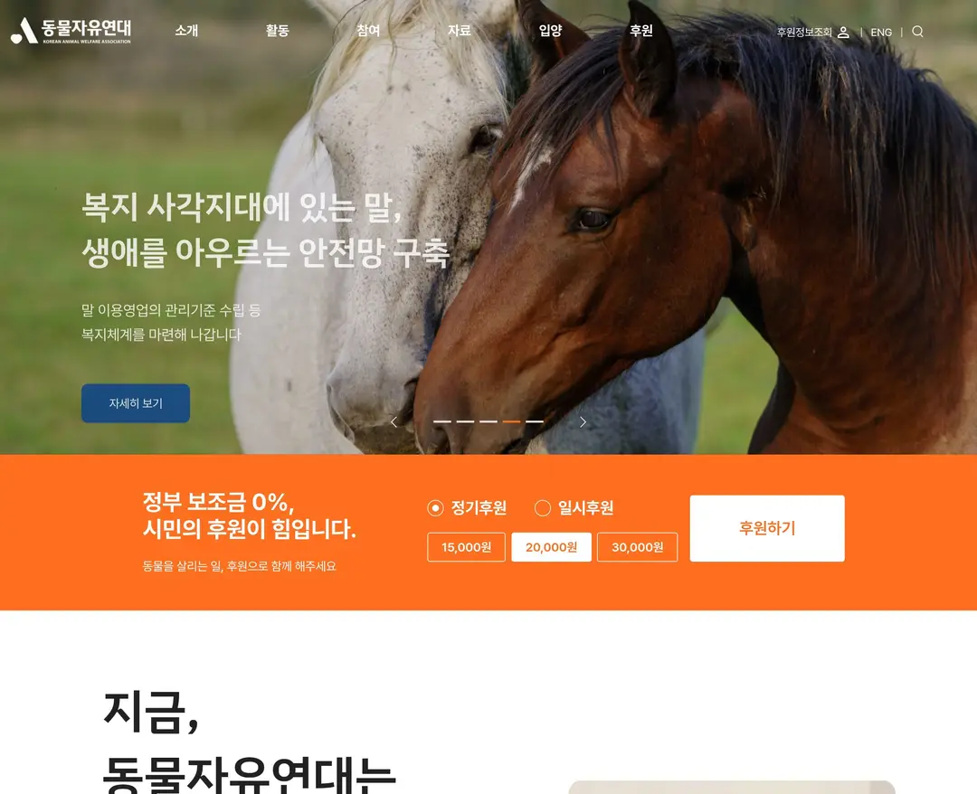 동물자유연대 — 반려동물 소개 웹사이트 디자인 레퍼런스
