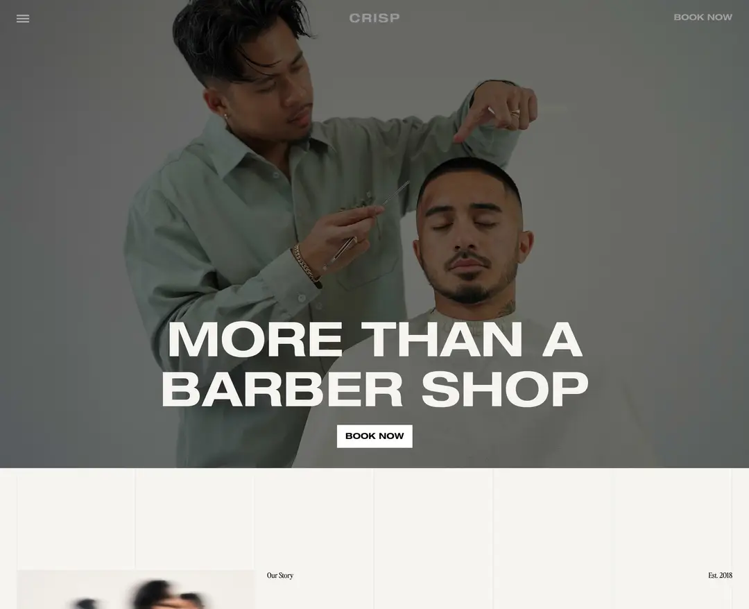 CRISP — 기타 소개 웹사이트 디자인 레퍼런스