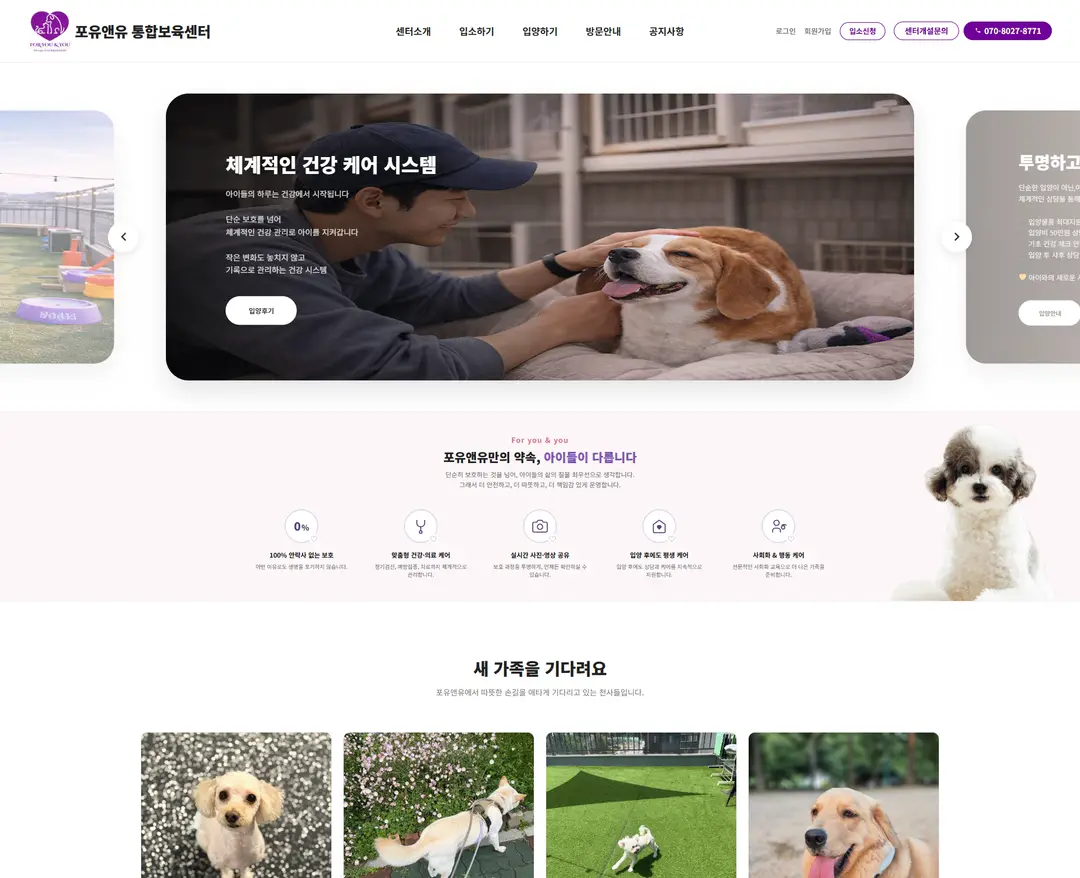 포유앤유 — 반려동물 소개 웹사이트 디자인 레퍼런스