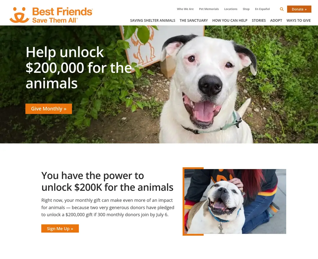 Best Friends Animal Society — 반려동물 소개 웹사이트 디자인 레퍼런스
