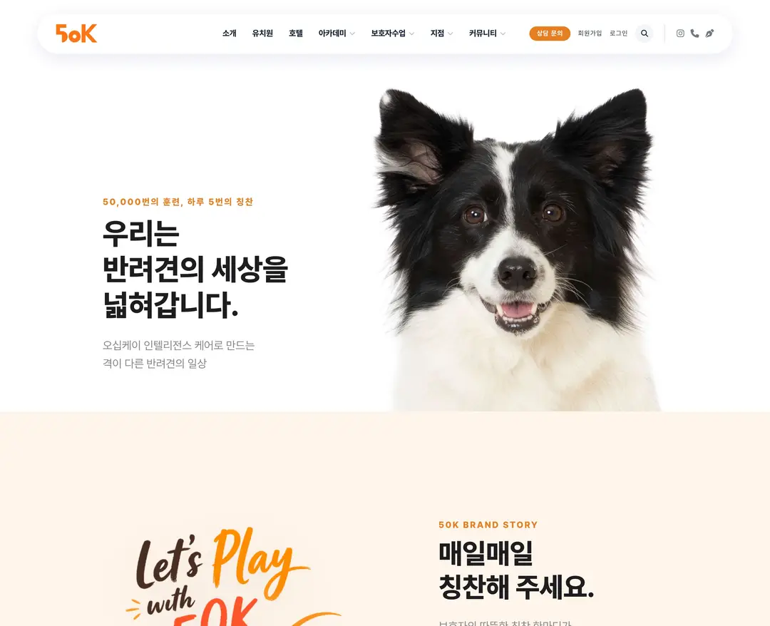 오십케이 — 반려동물 소개 웹사이트 디자인 레퍼런스