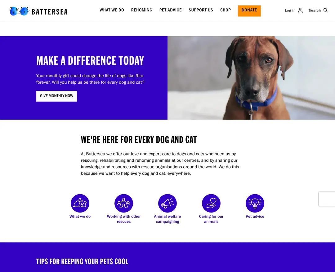 Battersea Dogs & Cats Home — 반려동물 소개 웹사이트 디자인 레퍼런스